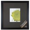 Frames * | Cheap 8 Pack: Black Square 8 X 10 Frame With Black Double Mat, Gallery By Studio Decor By Studio Decor