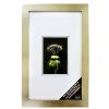 Frames * | Coupon Gallery Wall Frame With Double Mat By Studio Decor By Studio Decor Champagne